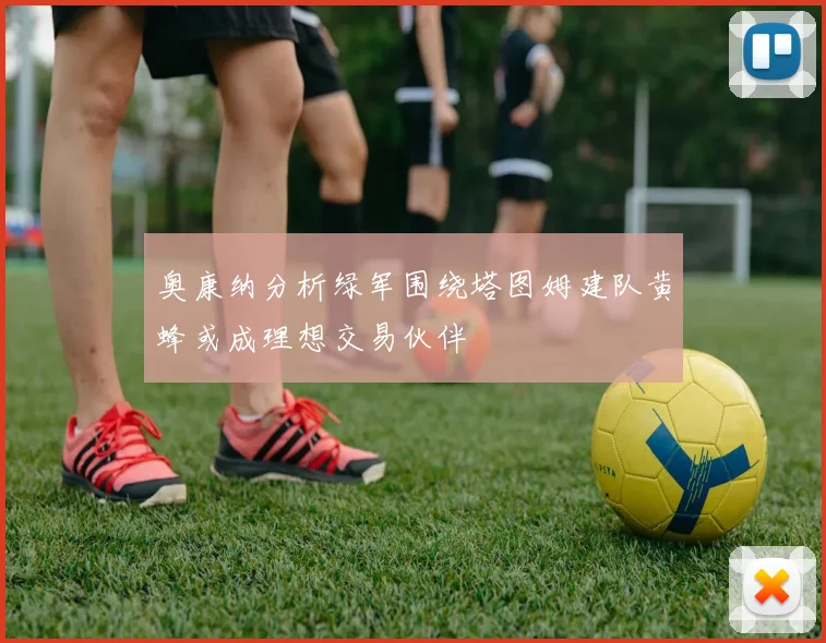 奥康纳分析绿军围绕塔图姆建队黄蜂或成理想交易伙伴