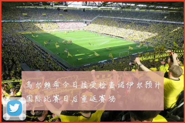乌尔赖希今日接受检查诺伊尔预计国际比赛日后重返赛场