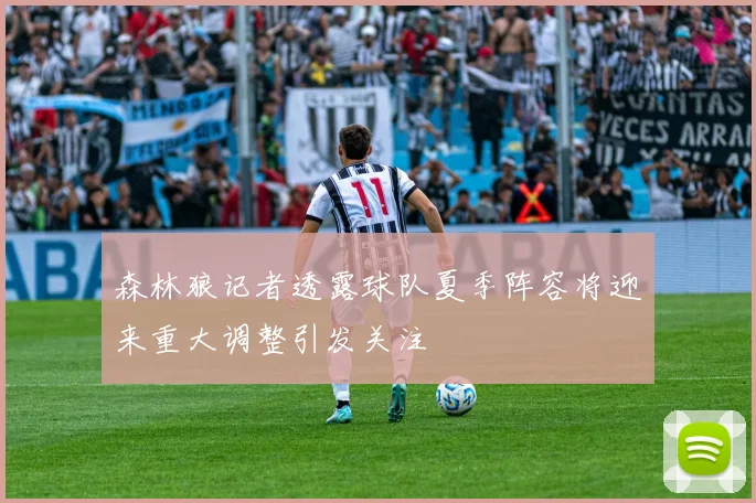 森林狼记者透露球队夏季阵容将迎来重大调整引发关注