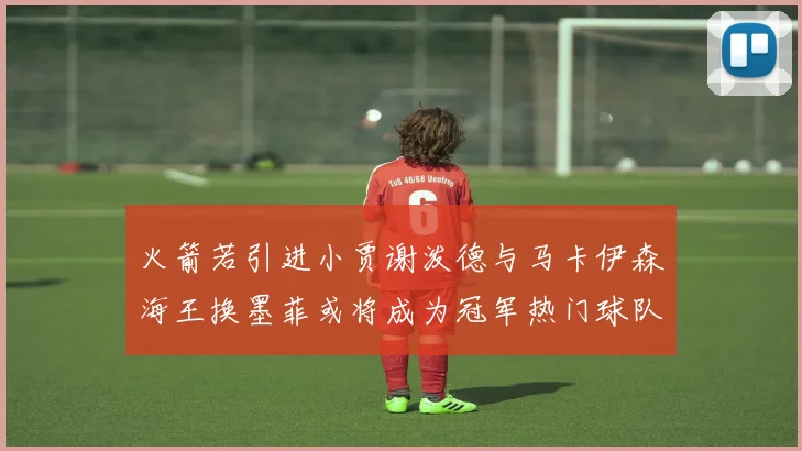 火箭若引进小贾谢泼德与马卡伊森海王换墨菲或将成为冠军热门球队